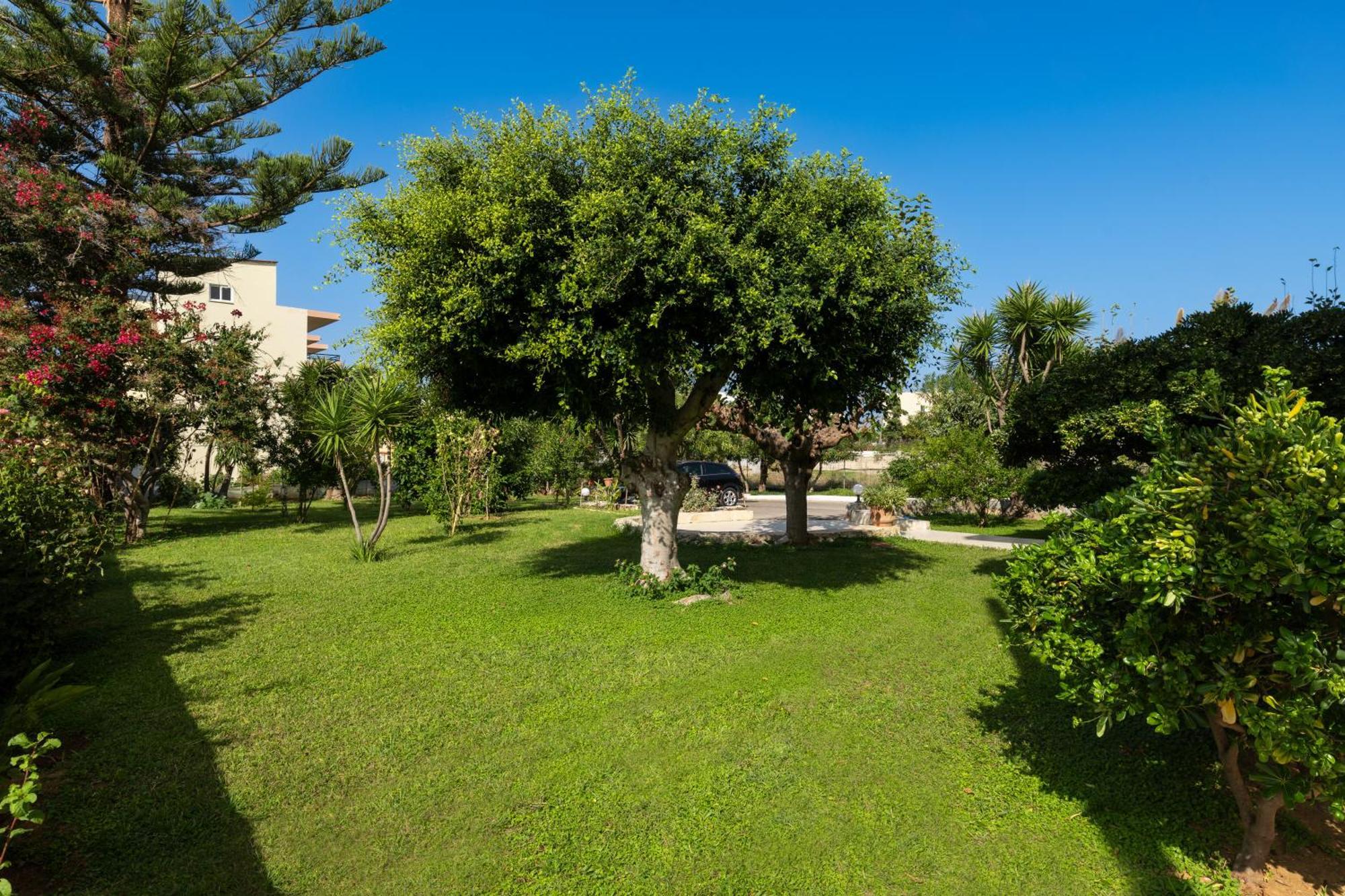 Evdokia Αpartments & Dimitra Village Agia Marina 외부 사진